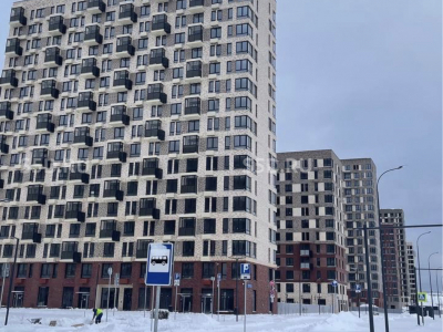 деревня Калиновка, улица Лесных Озёр, 1 ЖК Новое Видное / Продажа / Готовый арендный бизнес / 543 кв.м.