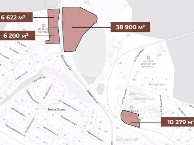 д. Белое Озеро, улица Шоссейная, 26 - 68600 кв. м. - Продажа / ЗУ