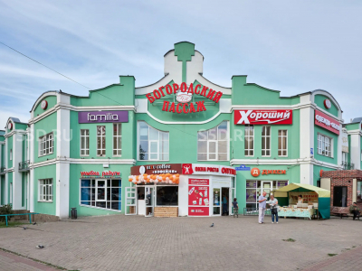 Ногинск, улица 3-го Интернационала, 76 - 4037 кв. м. - Продажа / ТЦ / ГАБ